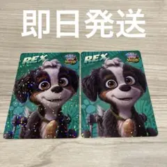 パウ・パトロール ザ・マイティ・ムービー レックス カード 2枚のサムネイル