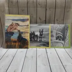 Item thumbnail for item eb2d55db-ffdf-4292-b1ed-32f6a8c26b71