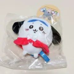 ちいかわ×サンリオキャラクターズ ぷちミニフードマスコット　ハチワレ　ポチャッコ