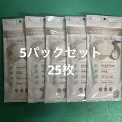 Victorian Mask 4層ライトグレー×グレージュ 5枚入り×5パックのサムネイル