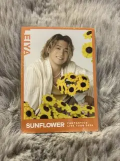 瀬口黎弥 フォトカード シクレ