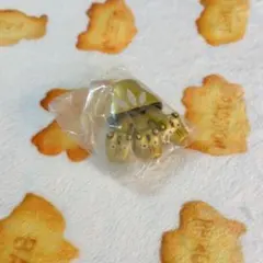 究極バトル魂 金色のガッシュベル!! 限定コポルクキャンチョメ 