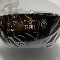 2026年最新】Srl 鉢の人気アイテム - メルカリ