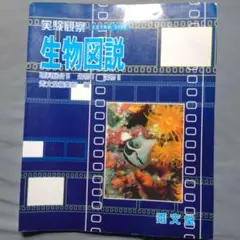 Item thumbnail for item 7848a4dd-4e42-4c51-b456-f7bf958b6962