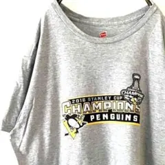 ヘインズ チャンピオンズ ペンギン Tシャツ XL グレー 灰色 古着