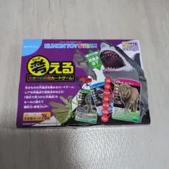 生き物の分類カードゲーム くもん出版