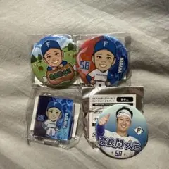 Item thumbnail for item cb69d51f-9ca8-4db6-bb84-70a00d321cfe