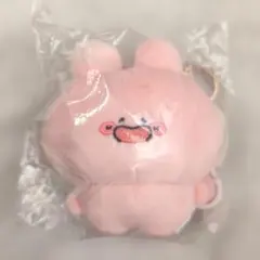 中国限定 MINISO コラボ asamimichan マスコット チャーム