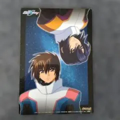 月刊ガンダムエース 2005年11月号付録ガンダムDESTINY 下敷き 비매품