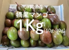 摘果マンゴー グリーンマンゴー - メルカリ