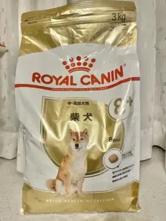 Item thumbnail for item e4f0dce6-ce38-4e54-b87b-66c8bc59afe2