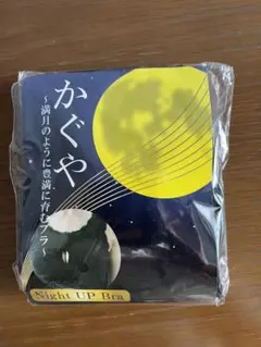 Item thumbnail for item 8f1f6c66-2e5d-42e8-b983-e9cea7866542