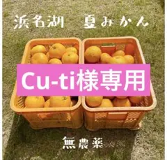 2026年最新】夏みかん様の人気アイテム - メルカリ