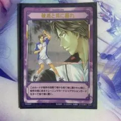 テニスの王子様　破滅と共に踊れ