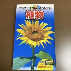 Item thumbnail for item 9273ddee-0cd4-4b15-b993-0298d061baea