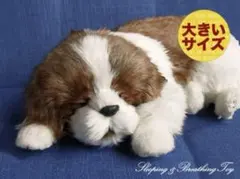 Item thumbnail for item 79154cde-34f4-4c18-8519-6dc89d115fed