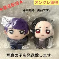 【オンクレ獲得】東京喰種 トーキョーグール ぬいぷりけ mini 月山習・ウタ