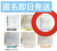 Item thumbnail for item 5d420538-c030-408e-b89a-a3c399abae48