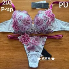 サルート 21 PU P-upブラ&ソング