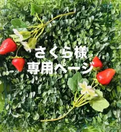 ホイップデコ　B 7サイズ　さくら様専用ページ