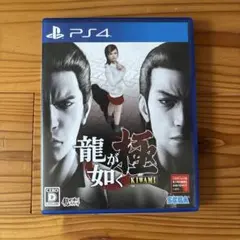 龍が如く 極 新価格版