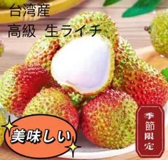 8.tamao14  鹿児島県産 島津佐多ライチ特注品(大) 　農薬不使用 9.a5 様専用 鹿児島県産 島津佐多ライチ特注品(大) 農薬不使用 - メルカリ