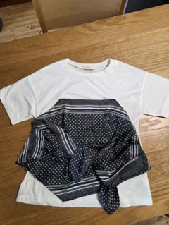 Item thumbnail for item 6bb07fde-9ad8-420a-acb5-54aa74bb912e