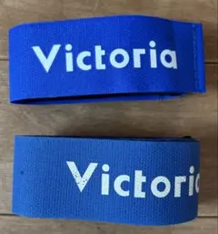 Item thumbnail for item bdc5dad2-fe4a-4069-b5c5-353ed05148d8