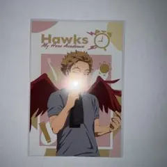 僕のヒーローアカデミア ヒロアカ モーニングルーティン ポストカード ホークス