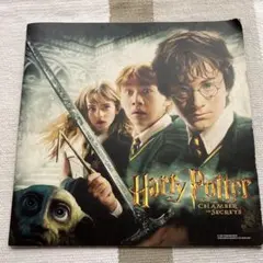 ハリー・ポッターと秘密の部屋  映画パンフレット