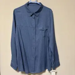 Item thumbnail for item 6d43db4b-771b-4747-aa08-6a9a9c1d78d0