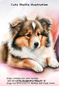 2025年最新】シェルティ パネルの人気アイテム - メルカリ