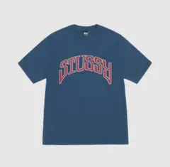 ［未使用］Stussy Pigment Dyed Arched T-shirtのサムネイル
