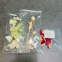 ドライフラワー アソートセット ハンドメイド素材