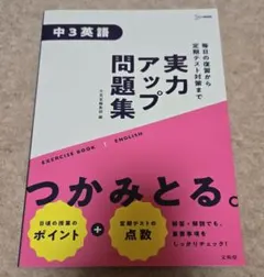 Item thumbnail for item 0e7207a6-33b6-488e-9b4d-1b2898435b97