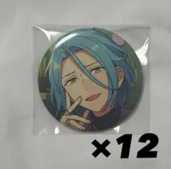 あんスタ HiMERU 缶バッジ 2024 Nov. casual 12点