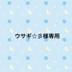 ウサギ☆彡様専用