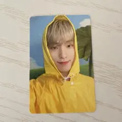 CARAT盤 ディノ トレカ