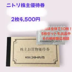 【専用】ニトリホールディングス 株主お買物優待券　２枚セット
