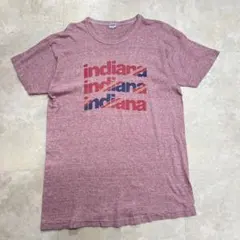 70's champion 染み込み3段　霜降りビンテージtシャツ バータグXL