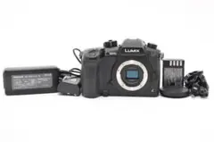 ★SD保存不可品★パナソニック LUMIX DC-GH5 ボディ #21279 ☆SD保存不可品☆パナソニック LUMIX DC-GH5 ボディ #21279 - メルカリ