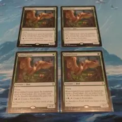 MTG旧枠 敏捷なマングース/Nimble Mongoose 4枚セット - メルカリ