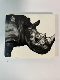 MR.children CD 1992-1995