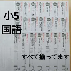 小5 國語 彩色測驗