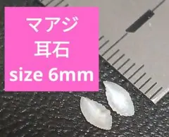 マアジ 耳石 お守りパワーストーン天然石宝石開運受験生物学 F84