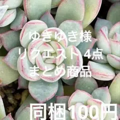 ゆきゆき様 リクエスト 4点 まとめ商品