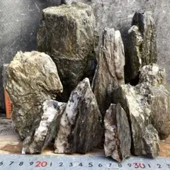 2026年最新】青龍石 水槽の人気アイテム - メルカリ