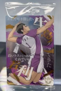 最新弾 ハイキュー ウエハース6 牛島若利 スペシャルレア SR