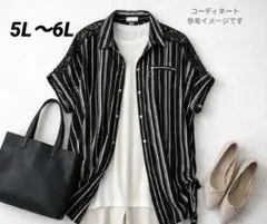新品 5L〜6L 大きいサイズ ストライプブラウス レース切替 体型カバー 羽織