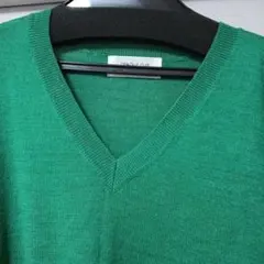 オペークドットクリップ緑色 Vネック 長袖セーター羊毛混ゆったりＬ